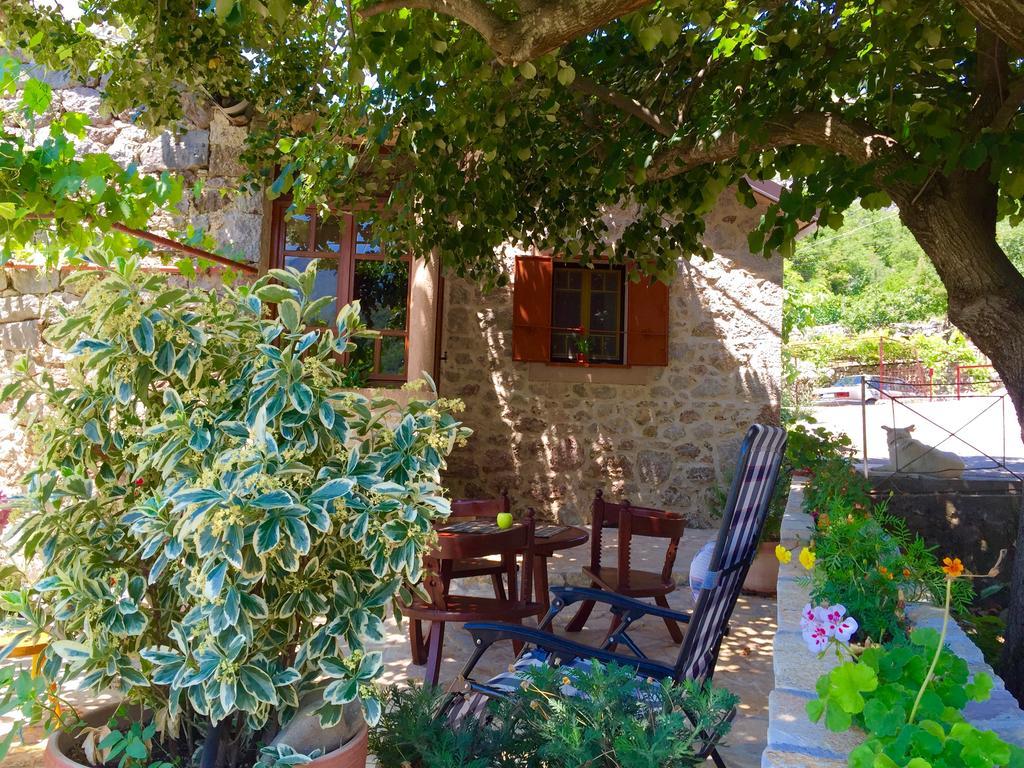 Ethno House Ivanovic Virpazar Εξωτερικό φωτογραφία